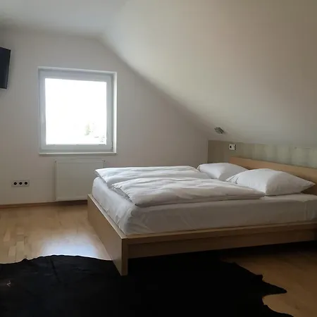 Apartment Pupa Velké Bílovice